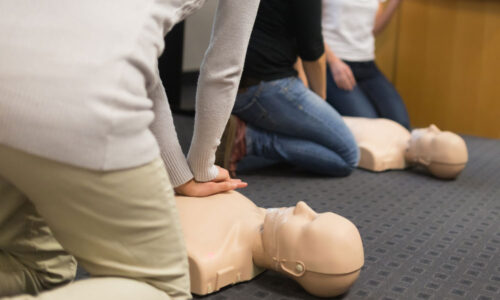 BASIC LIFE SUPPORT / CARDIO-PULMONARY RESUSCITATION PROGRAM (BLS/CPR)